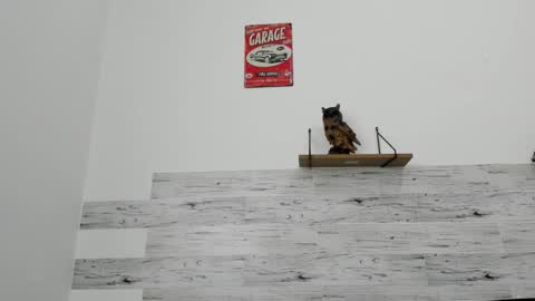 Jaycreedd online show from March 2026 05:08:01 PM