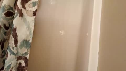 jaywulf22 online show from November 2025 04:33:02 AM