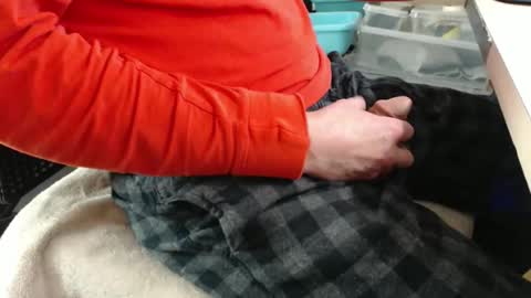 jc200000 online show from December 2025 09:54:01 PM