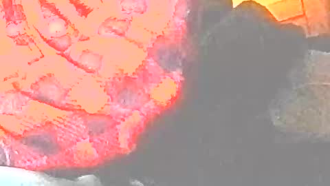 jedishy925585 online show from December 2025 09:04:01 AM