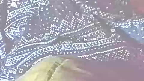 jedishy925585 online show from December 2025 07:16:02 AM