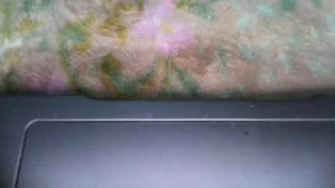 jenifer_91 online show from December 2024 02:08:01 AM