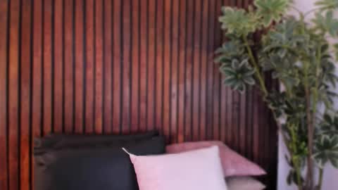     online show from December 2025 12:03:02 PM