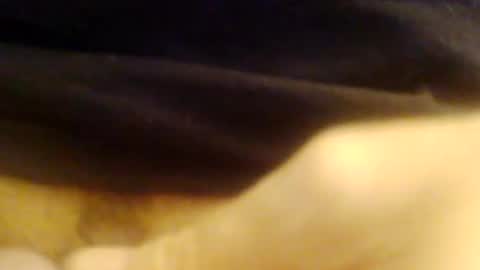 JoeEBear online show from December 2024 09:05:02 PM