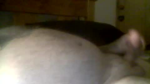 Snapshot of jerkmate6666 chatting on April 2026 11:49:01 AM jerkmate6666 online show from April 2026 11:49:01 AM