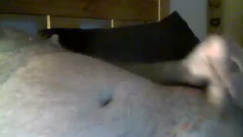 Snapshot of jerkmate6666 chatting on May 2026 10:36:02 PM jerkmate6666 online show from May 2026 10:36:02 PM