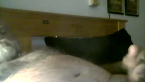 Snapshot of jerkmate6666 chatting on May 2026 10:16:01 PM jerkmate6666 online show from May 2026 10:16:01 PM