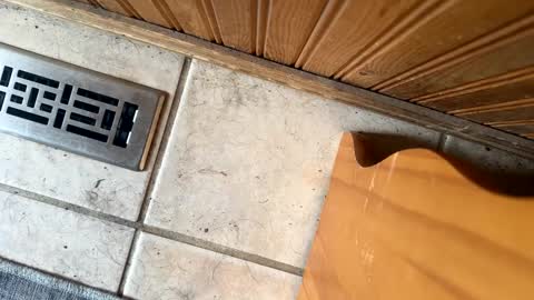 Snapshot of jerswill chatting on September 2025 06:30:02 PM Jeremys room chill and puff one enjoy online show from September 2025 06:30:02 PM