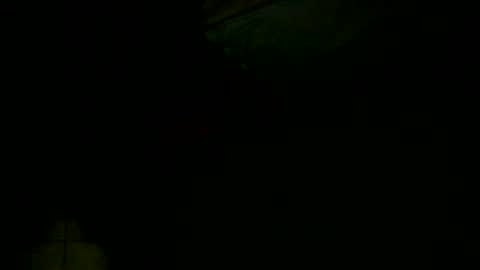 dovedianna online show from December 2024 04:02:02 AM