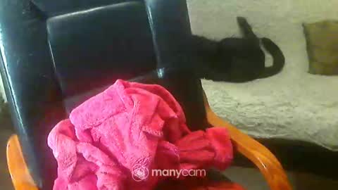 Snapshot of jessjess4you chatting on February 2025 06:04:01 AM jessjess4you online show from February 2025 06:04:01 AM