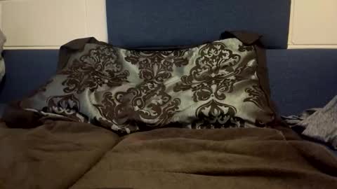 Snapshot of jibai582233 chatting on February 2026 01:01:02 AM bigdawgg online show from February 2026 01:01:02 AM