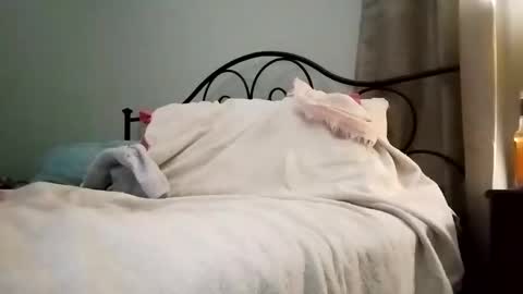 Jimz14u online show from January 2025 03:18:02 AM