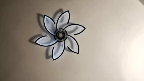 Jimz14u online show from February 2025 03:15:02 AM