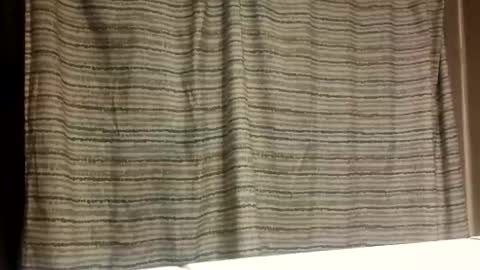 jmartel92 online show from November 2025 03:39:02 AM