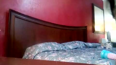 jmbaby online show from December 2024 02:59:01 PM