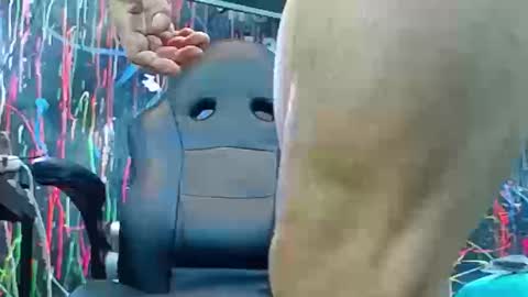 jacobo online show from September 2025 10:54:01 PM