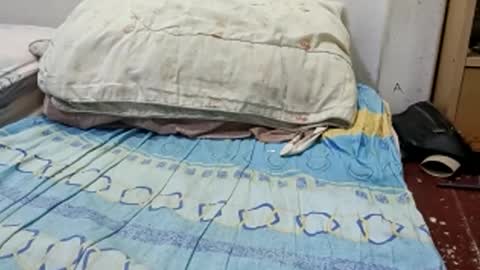 joe_bp89470 online show from January 2026 05:27:02 PM