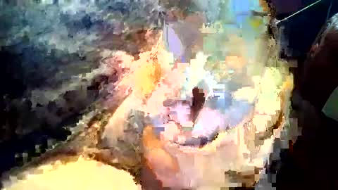 joedunbar61 online show from September 2025 12:12:01 AM