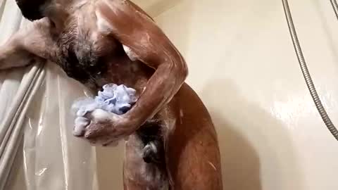 johenxxx online show from November 2025 08:58:01 AM