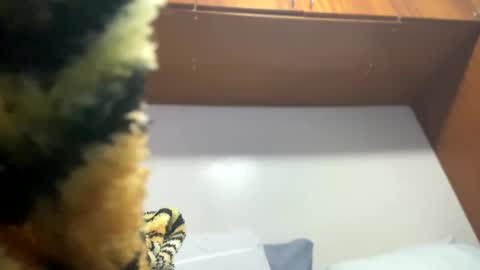 Snapshot of johnjow10 chatting on February 2025 11:55:02 PM JOHN online show from February 2025 11:55:02 PM