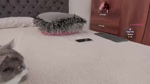 Snapshot of jordanmusk_ chatting on November 2025 06:07:01 PM Will online show from November 2025 06:07:01 PM