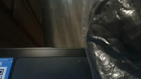 sissy josphine online show from January 2025 11:09:01 PM