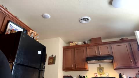 sissy josphine online show from January 2025 08:22:01 PM