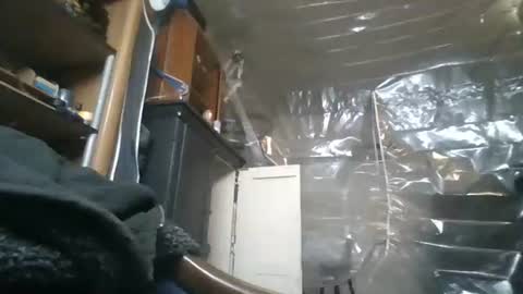 sissy josphine online show from November 2025 05:32:02 AM