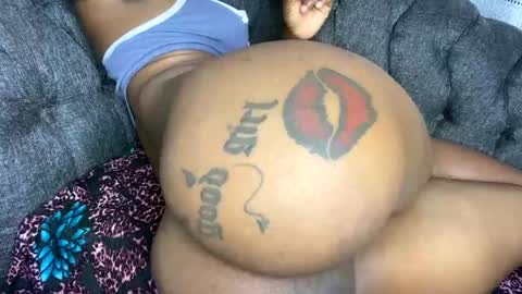 Butterflyass online show from February 2026 03:13:02 AM