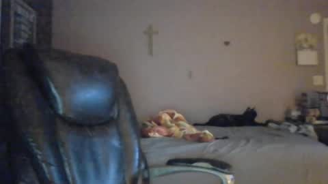 Snapshot of jpetz69257238 chatting on August 2026 05:21:02 AM jpetz69257238 online show from August 2026 05:21:02 AM