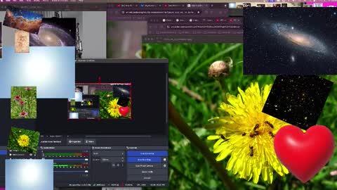 JP Sunflower Angel Love online show from October 2025 09:09:01 AM