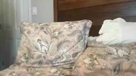 Snapshot of juicy1time chatting on February 2025 02:52:01 PM juicy1time online show from February 2025 02:52:01 PM