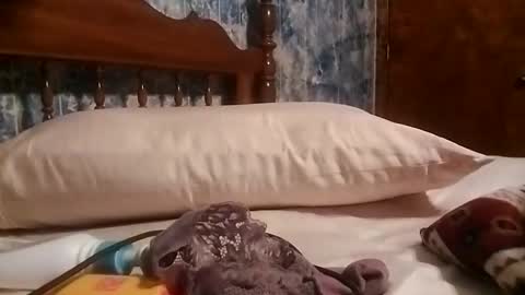 juicyj322 online show from January 2025 09:11:02 AM