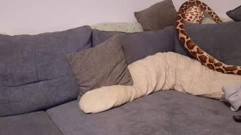 julia_official online show from November 2025 10:21:01 PM