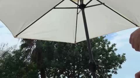 Snapshot of julie_joyride chatting on September 2025 01:45:01 PM Julie and TheAverageGuy aka Max online show from September 2025 01:45:01 PM