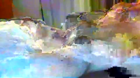 Snapshot of julien3327 chatting on February 2026 10:31:01 PM julien3327 online show from February 2026 10:31:01 PM