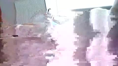 Snapshot of julien3327 chatting on March 2026 08:07:01 AM julien3327 online show from March 2026 08:07:01 AM