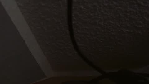 Gregor online show from February 2025 12:34:02 PM