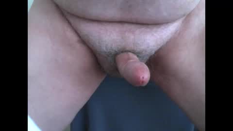 jungle64 online show from March 2026 02:08:02 AM