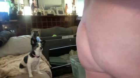 Flirty influncer online show from February 2026 09:52:01 PM