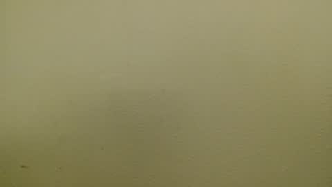 Snapshot of just_marlon chatting on January 2025 02:39:02 AM Just marlon online show from January 2025 02:39:02 AM