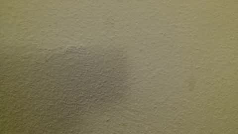 Snapshot of just_marlon chatting on February 2025 08:44:02 PM Just marlon online show from February 2025 08:44:02 PM