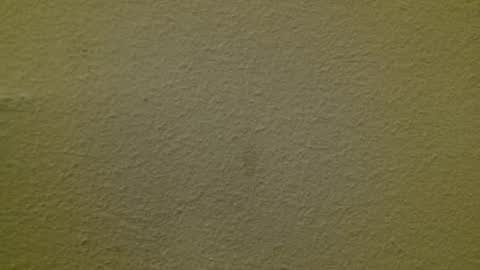 Snapshot of just_marlon chatting on March 2025 02:15:01 AM Just marlon online show from March 2025 02:15:01 AM