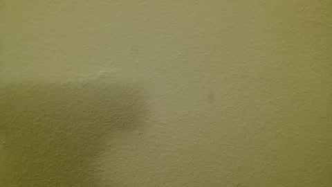 Snapshot of just_marlon chatting on March 2025 08:21:02 PM Just marlon online show from March 2025 08:21:02 PM