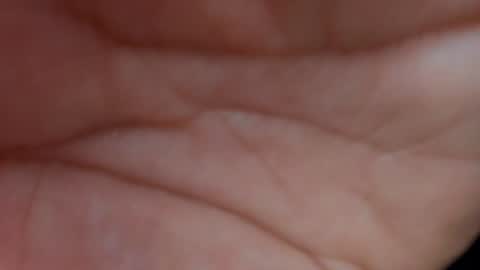 Layla online show from January 2025 10:32:02 AM