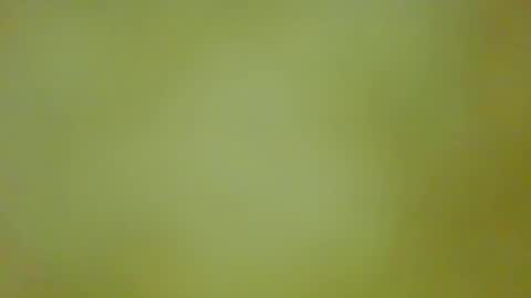 Snapshot of justbuff4 chatting on September 2025 05:46:01 PM McKeefer online show from September 2025 05:46:01 PM