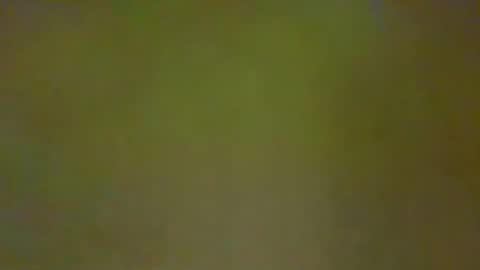 Snapshot of justbuff4 chatting on February 2026 04:52:02 PM McKeefer online show from February 2026 04:52:02 PM