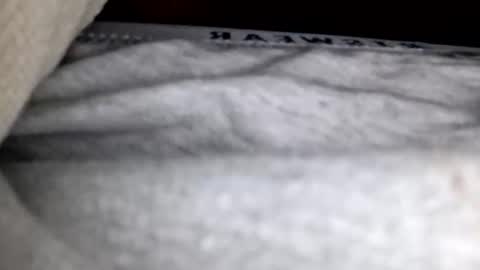 Snapshot of justingodla20 chatting on December 2025 02:00:01 PM justingodla20 online show from December 2025 02:00:01 PM