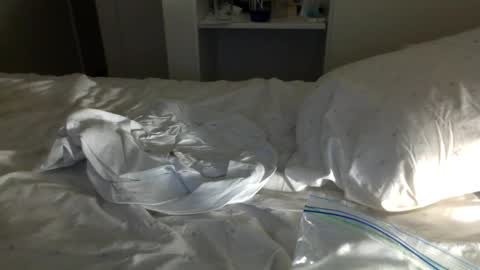 J and Sugar snap pea online show from January 2025 11:37:02 AM