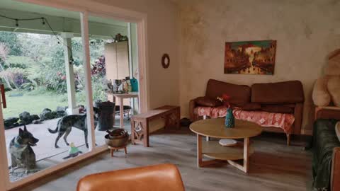 Kailee Smile online show from January 2026 03:42:02 AM